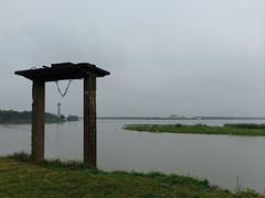 -洪湖湿地生态园