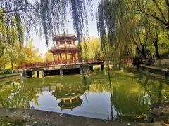-西安市长乐公园