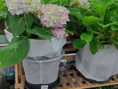 -大润发(张江店)