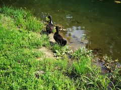 -长白岛森林公园