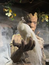 -Zoolung Zoolung动物主题公园(海信广场店)