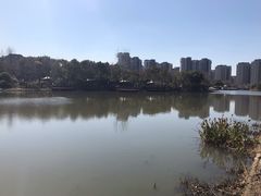 -新江湾城公园
