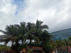 -呀诺达热带雨林