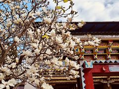 -云南民族村