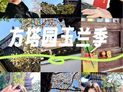 -常熟方塔园
