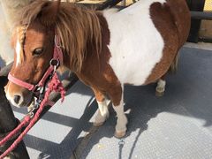 -波塞冬旅游度假区