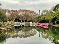 -花溪公园