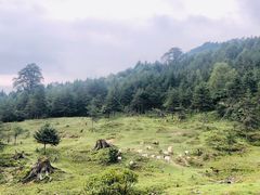 -硗碛藏寨·神木垒景区