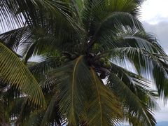 -三亚西岛海洋文化旅游区
