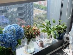-粤学粤好·港式粤语文化及学习中心(福田南山都有店)