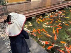 -三亚湾海居雅高铂尔曼度假酒店