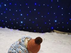 -宁波冰雪大世界(北仑区)