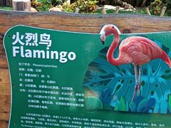 -三亚蜈支洲岛旅游区