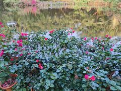 -海南热带野生动植物园
