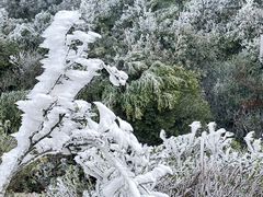 -梧桐山风景名胜区