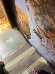 -卡通尼·Safari非洲探索乐园·生日会(金桥国际商业广场店)