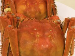 -王宝和酒家(黄浦店)