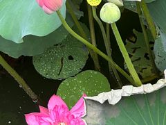 -黄兴公园