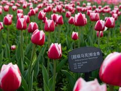 -国家植物园