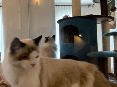 -Me Coffee下午茶艺术空间