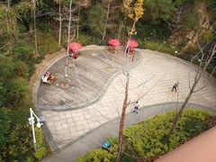 -金鸡山公园