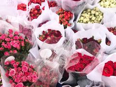 -合肥市裕丰花鸟虫鱼市场-F区