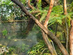 -Chom Cafe and Restaurant