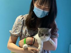 -猫色咖啡·猫咖