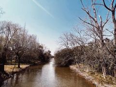 -上海滨江森林公园
