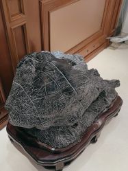 点击看大图 -北京俪婴妇产医院(朝阳大悦城店)