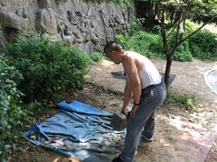 -紫金山山顶公园
