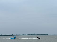 -瑶湖郊野森林公园