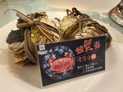 -裕龙汤泉