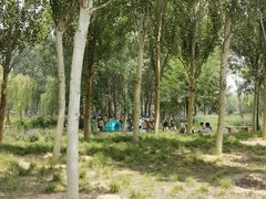 -东郊湿地公园