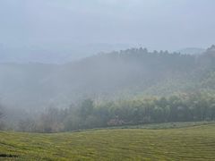 -敬亭山风景名胜区