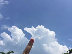 -鹿境梅花鹿生态园区