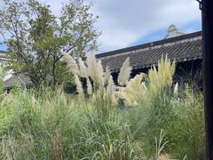 -绿豆酥(城中路店)