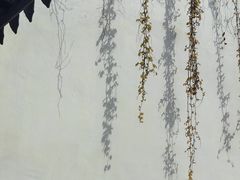 -王阳明故居