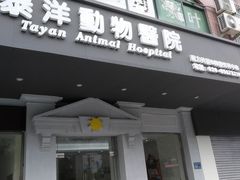 -泰洋动物医院·神经专科·磁共振·CT(天河公园总院)