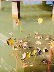 -北京郡王府饭店·宴会厅