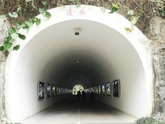 -深圳国际园林花卉博览园