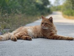 -北京西山国家森林公园