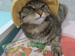 -瑞虹新天地月亮湾