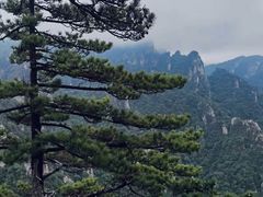 -老界岭旅游度假区