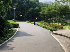 -晓港公园