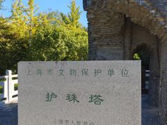 -上海佘山国家森林公园天马山园