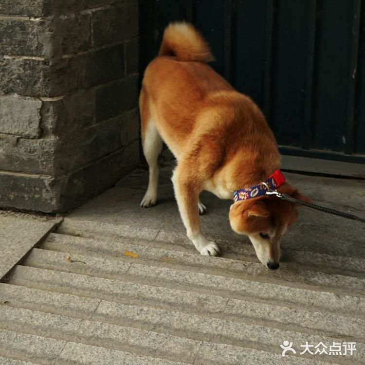 北京最洋气的胡同——东交民巷