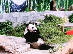 -南昌动物园