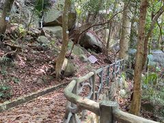 -海南热带雨林国家公园吊罗山景区