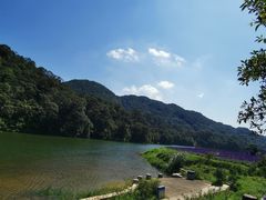-广州市石门国家森林公园